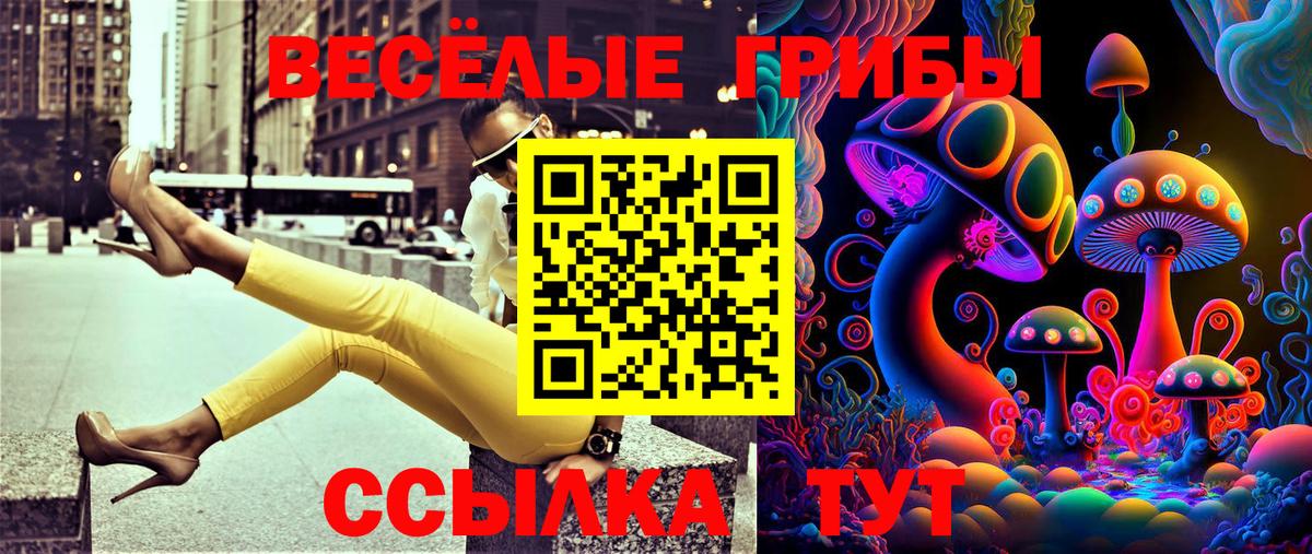 Псилоцибиновые грибы MAGIC MUSHROOMS Снежинск